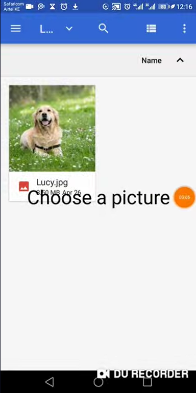 Add Pet Details Screenshot